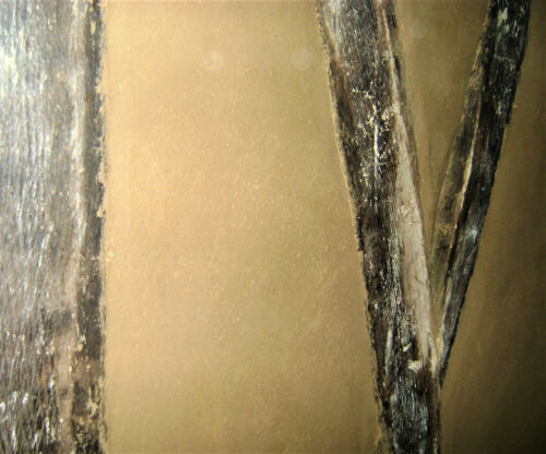 Restauration Pans de Bois - Morlaix - Finistère (29)